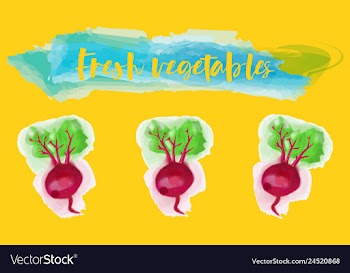 Vegetables food watercolor vector image