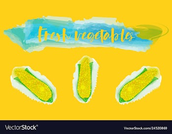 Vegetables food watercolor vector image
