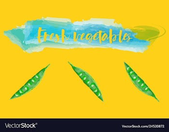 Vegetables food watercolor vector image