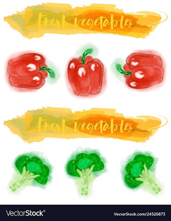 Vegetables food watercolor vector image