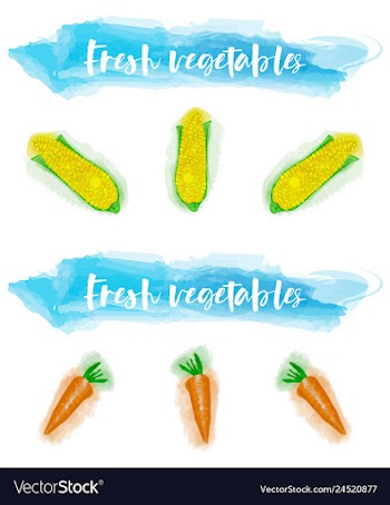 Vegetables food watercolor vector image