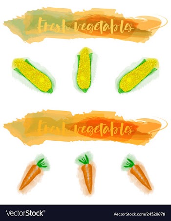 Vegetables food watercolor vector image