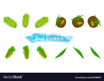 Vegetables food watercolor vector image