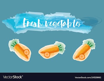 Vegetables food watercolor vector image