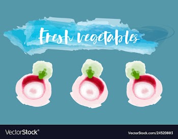 Vegetables food watercolor vector image