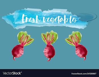 Vegetables food watercolor vector image