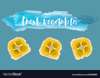 Vegetables food watercolor vector image