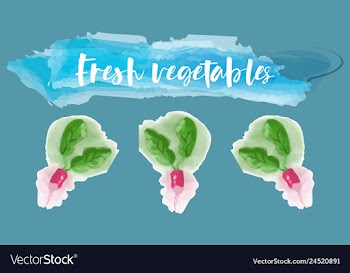 Vegetables food watercolor vector image