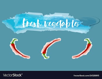 Vegetables food watercolor vector image