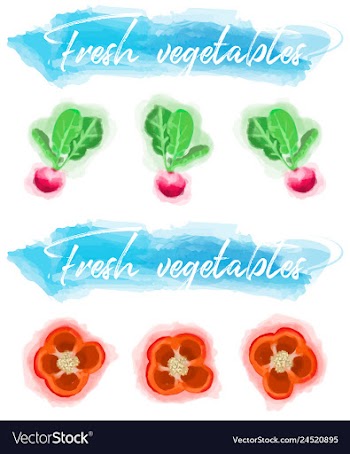 Vegetables food watercolor vector image