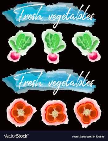 Vegetables food watercolor vector image