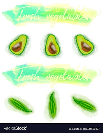 Vegetables food watercolor vector image
