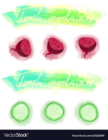 Vegetables food watercolor vector image