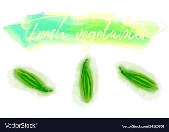 Vegetables food watercolor vector image