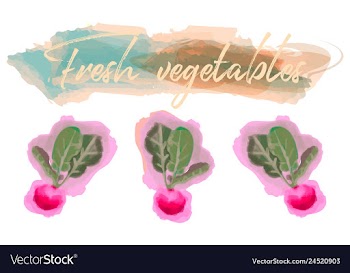 Vegetables food watercolor vector image
