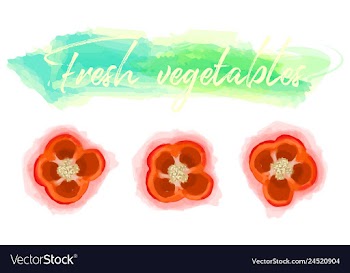 Vegetables food watercolor vector image