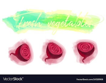 Vegetables food watercolor vector image