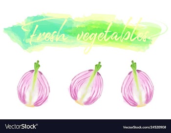 Vegetables food watercolor vector image