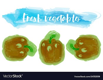 Vegetables food watercolor vector image