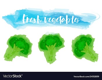 Vegetables food watercolor vector image