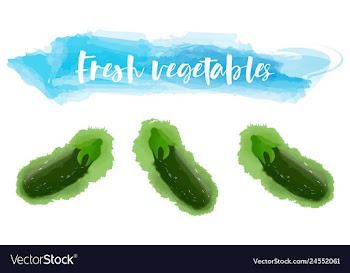 Vegetables food watercolor vector image