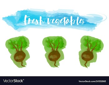 Vegetables food watercolor vector image