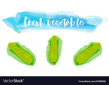 Vegetables food watercolor vector image