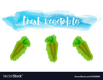 Vegetables food watercolor vector image