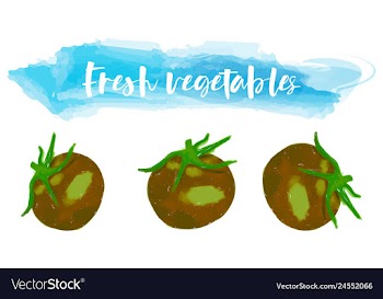 Vegetables food watercolor vector image