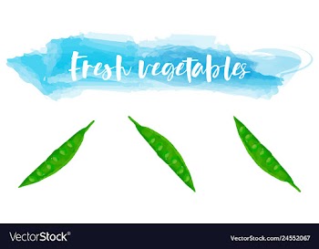 Vegetables food watercolor vector image