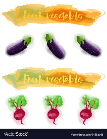 Vegetables food watercolor vector image