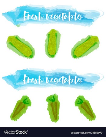 Vegetables food watercolor vector image