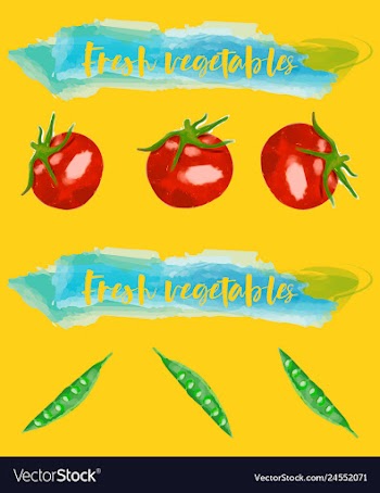 Vegetables food watercolor vector image