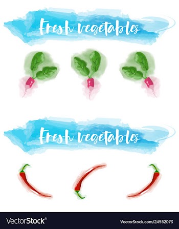 Vegetables food watercolor vector image