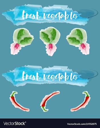 Vegetables food watercolor vector image