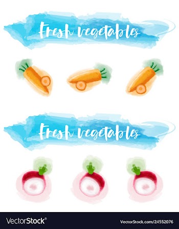 Vegetables food watercolor vector image