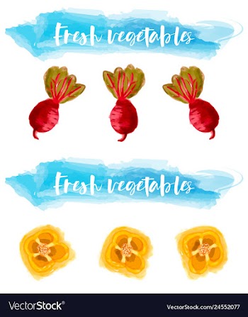 Vegetables food watercolor vector image