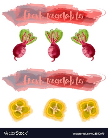 Vegetables food watercolor vector image