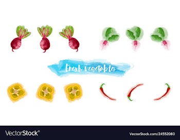 Vegetables food watercolor vector image