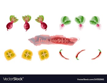 Vegetables food watercolor vector image