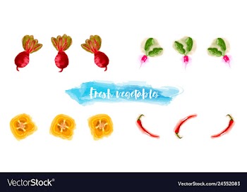 Vegetables food watercolor vector image