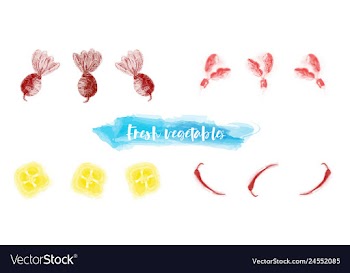 Vegetables food watercolor vector image