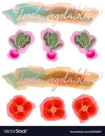 Vegetables food watercolor vector image