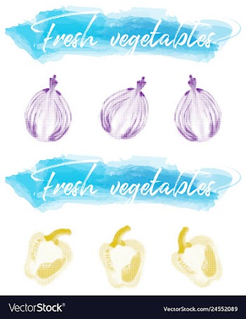 Vegetables food watercolor vector image
