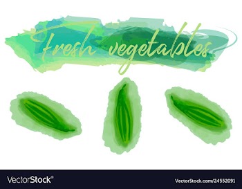 Vegetables food watercolor vector image