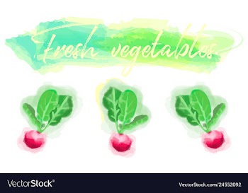 Vegetables food watercolor vector image