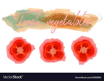 Vegetables food watercolor vector image