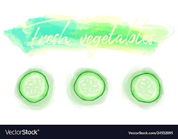 Vegetables food watercolor vector image