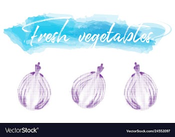 Vegetables food watercolor vector image