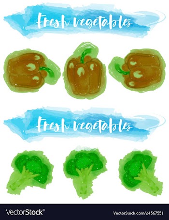 Vegetables food watercolor vector image